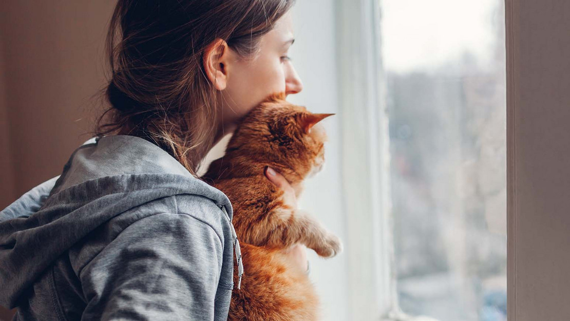 Frau mit ihrer Katze schaut aus dem Fenster. 